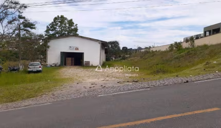 Terreno à venda, 4398 m² por R$ 1.200.000,00 - Centro - Campina Grande do Sul/PR