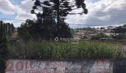 Terreno à venda, 680 m² por R$ 680.000,00 - Centro - Campina Grande do Sul/PR