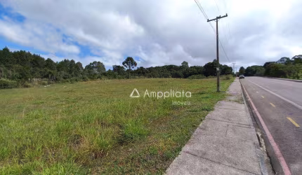 Terreno à venda, 3500 m² por R$ 450.000,00 - Centro - Quatro Barras/PR