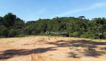 Chácara à venda, 3000 m² por R$ 140.000,00 - Capivari - Campina Grande do Sul/PR