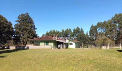 Chácara com 3 dormitórios à venda, 31590 m² por R$ 1.000.000,00 - Cerne - Campina Grande do Sul/PR