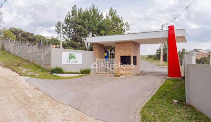 Terreno à venda, 280 m² por R$ 167.300,00 - Caraguata - Campina Grande do Sul/PR