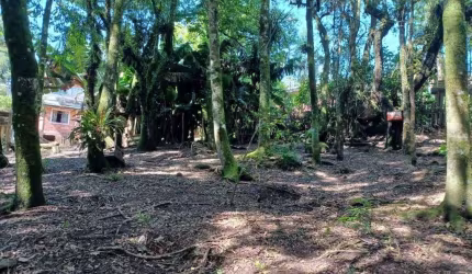 Terreno à venda, 1596 m² por R$ 350.000,00 - Borda Do Campo - Quatro Barras/PR