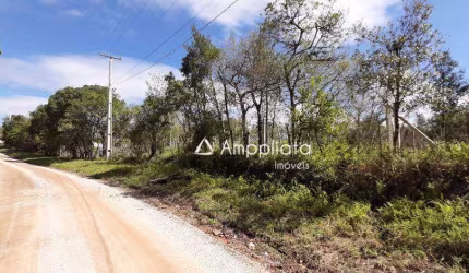 Chácara à venda, 2000 m² por R$ 340.000,00 - Chácaras Olhos D´água - Campina Grande do Sul/PR