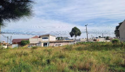 Terreno à venda, 2560 m² por R$ 630.000,00 - Joana Olímpia - Campina Grande do Sul/PR