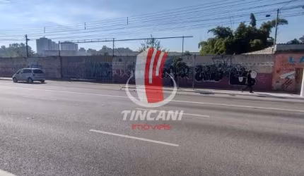 Oportunidade Única: Amplo Terreno Plano de 6.038 m² à Venda!