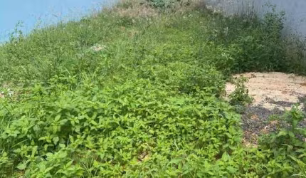 Terreno para Venda em Indaiatuba, Jardim Colonial