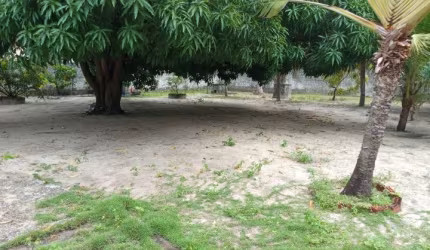 Vende excelente sítio no Eusébio