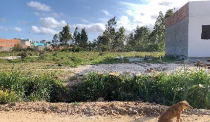 Oportunidade Única em PELOTAS - RS | Tipo: Terreno | Negociação: Venda Direta Online  | Situação: Imóvel
