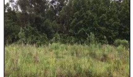 Oportunidade Única em SANTA MARIA - RS | Tipo: Terreno | Negociação: Venda Direta Online  | Situação: Imóvel