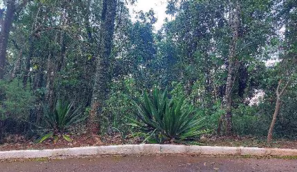Oportunidade Única em NOVA LIMA - MG | Tipo: Terreno | Negociação: Licitação Aberta  | Situação: Imóvel