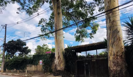 Terreno à venda, 5600 m² por R$ 11.000.000,00 - Granja Viana - Cotia/SP