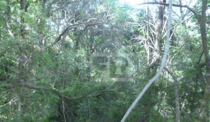 Terreno/Chácara  á venda no bairro Formosa em Alvorada RS.