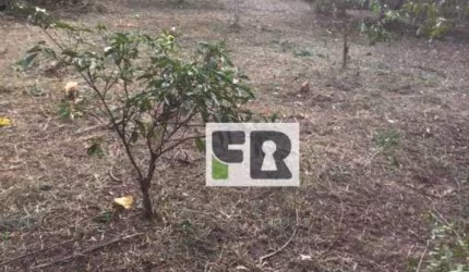 Terreno à venda, 2592 m² - Sitio São José - Viamão/RS