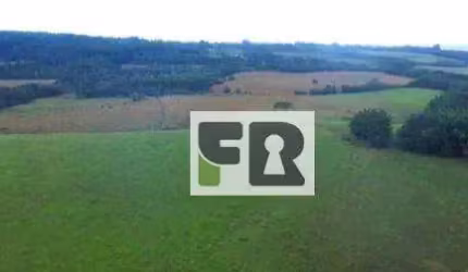 Sítio à venda, 540000 m²- Padilha - Taquara/RS