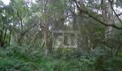 Terreno à venda, 300 m² por R$ 40.000,00 - Águas Claras - Viamão/RS