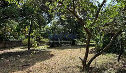 terreno à venda 2000M², Chácaras São Bento, Valinhos - SP