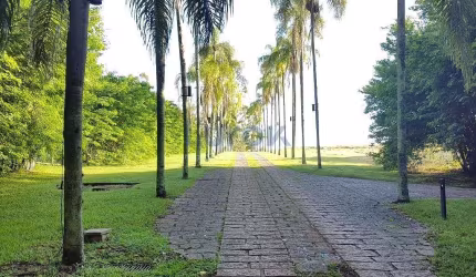 terreno à venda 20032M², Condomínio Reserva da Floresta, Campinas - SP | Condomínio Reserva da Flor