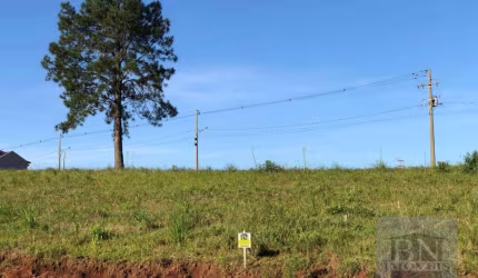 Terreno à venda, 340 m² - João Alves - Santa Cruz do Sul/RS