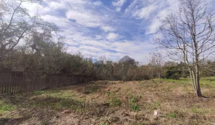 Terreno à venda com 12900 m² - João Alves - Santa Cruz do Sul/RS