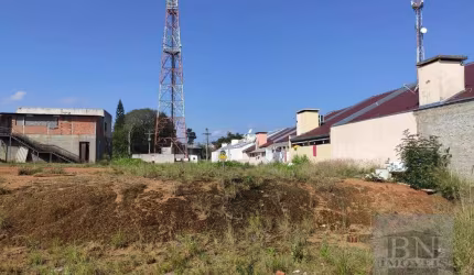 Terreno à venda, 490 m² por R$ 240.500,00 - João Alves - Santa Cruz do Sul/RS