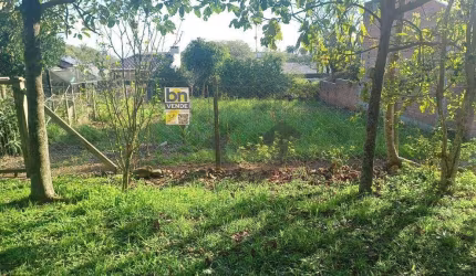 Terreno à venda, 558 m² por R$ 170.000,00 - Monte Verde - Santa Cruz do Sul/RS
