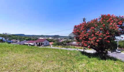 Terreno à venda, 450 m² - Arroio Grande - Santa Cruz do Sul/RS