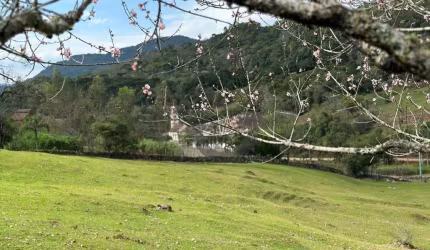 Chácara à venda, 458.720 m² por R$ 650.000 - Linha São João - Sinimbu/RS