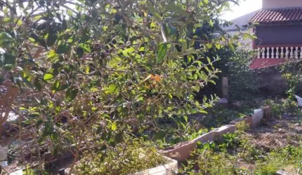 Terreno comercial à venda na Rua Anita Contieri, 193, Jardim Servilha, Jundiaí, 163 m2 por R$ 1.200.000