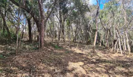 Terreno à venda- Cinco Lagos - Mairiporã-SP