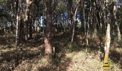 Terreno à venda, 1375 m² por R$ 220.000,00 - Pirucaia - Mairiporã/SP