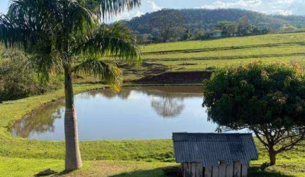 Haras com 4 dormitórios à venda, 208120 m² por R$ 3.950.000,00 - Contorno Norte - Ibiporã/PR
