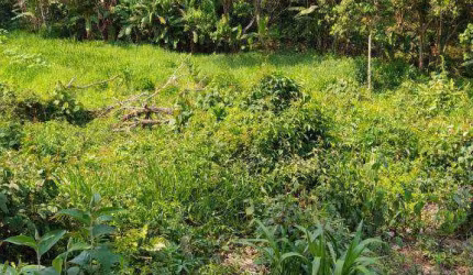 Terreno à venda, 1410 m² por R$ 200.000,00 - Jardim Nova Cotia - Itapevi/SP