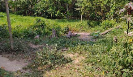 Terreno no Jardim Nova Cotia