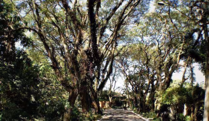 Terreno em condomínio na Granja Viana