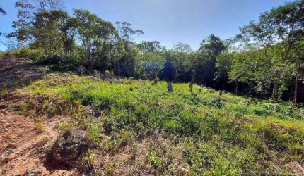 Terreno à venda, 501 m² por R$ 169.106,29 - Caucaia do Alto - Cotia/SP