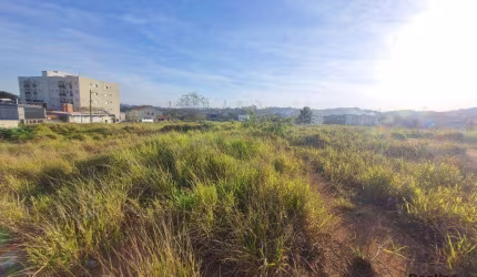 Oportunidade Única! Terreno de 7948 m² em Localização Privilegiada em Cotia