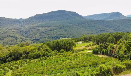 Terreno à venda na Quilombo Alto, 100, Quilombo Alto, Gramado por R$ 7.700.000