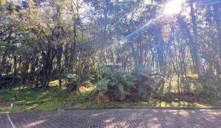 Terreno em condomínio fechado à venda na 01, 3, Parque Pinheiro Grosso, Canela por R$ 650.000