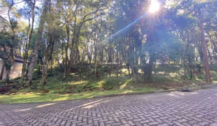 Terreno em condomínio fechado à venda na 01, 3, Parque Pinheiro Grosso, Canela por R$ 650.000