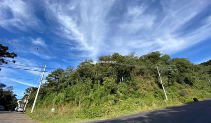 Terreno à venda na Estrada do Caracol Rs 466, Suzana, Canela por R$ 7.500.000