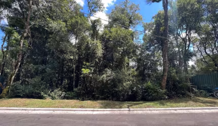 Terreno à venda na Das Papoulas, 426, Vila Nova de Gaia, Gramado por R$ 1.234.077