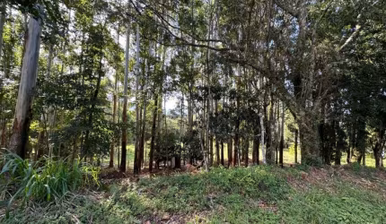 Chácara / sítio à venda na Morro Agudo, 1, Serra Grande, Gramado por R$ 450.000