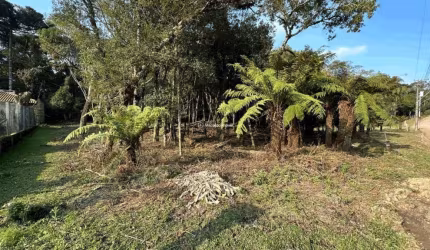 Terreno à venda na Rua Severino Inocente Zini, 2020202, Jardim Mariana, Canela por R$ 775.000