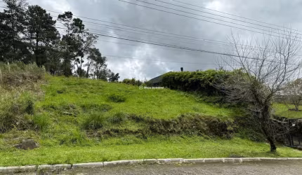 Terreno à venda na Antonio Leopoldo Pretto, 16, Vale das Colinas, Gramado por R$ 600.000