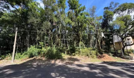 Terreno à venda na Rua Nestor Rushel, 10, Floresta, Gramado por R$ 750.000