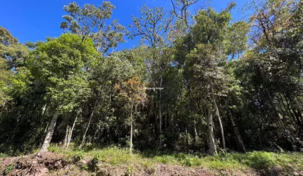 Terreno em condomínio fechado à venda na d, 6, Vila Nova de Gaia, Gramado por R$ 940.000