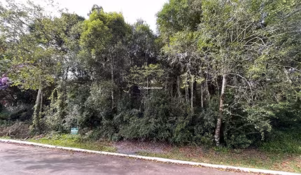 Terreno à venda na Augusto Ferrari, 148, Villagio, Gramado por R$ 580.000