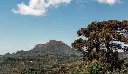 Terreno à venda na RS 115, 1, Várzea Grande, Gramado por R$ 593.000