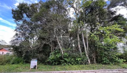 Terreno à venda na Acer/ Cerejeira, Vivendas do Arvoredo, Gramado por R$ 750.000